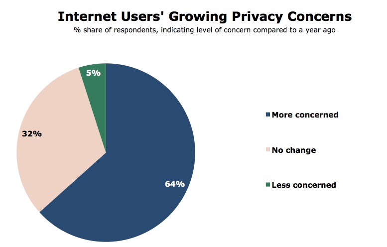 Internet Users Growing Privacy Concerns